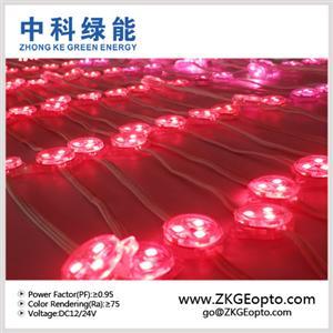 LED點光源在亮化工程中的應用 照明欄目的前沿突破